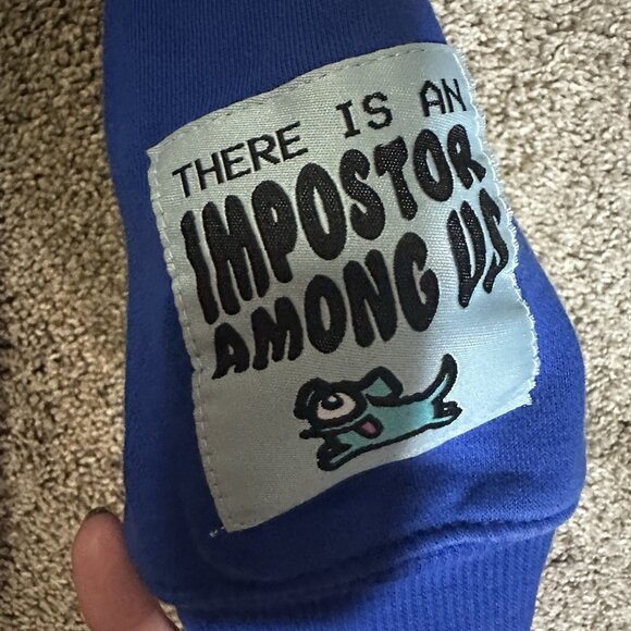 H&M Among Us Sweatshirt Boys Size 5/6 Blue Hooded There Is An Imposter Among Us - Picture 4 of 7